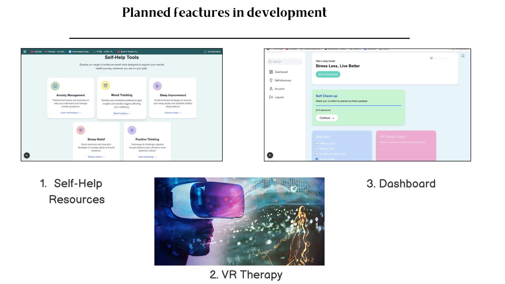 Pioneer Mental Health Project V2 - Image 3